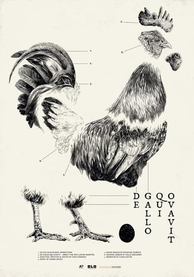 De Gallo Qui Ovavit poster