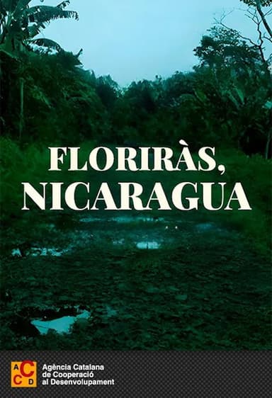 Florecerás, Nicaragua poster