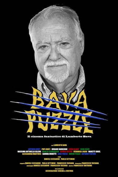 Bava Puzzle poster