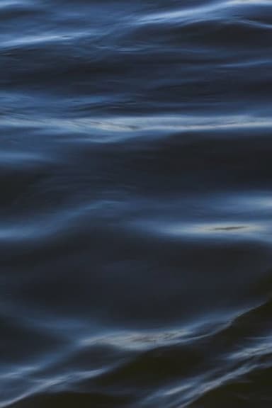 The Flood poster