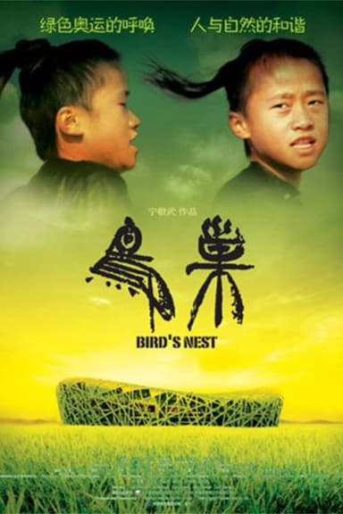 Bird's Nest poster