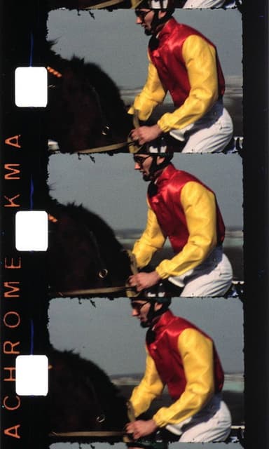 Chevaux (Introduction) poster