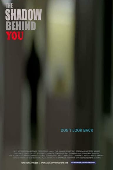 The Shadow Behind You poster