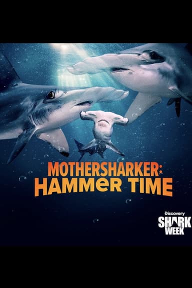 Mothersharker: Hammertime poster
