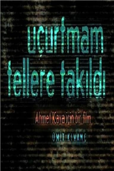 Uçurtmam Tellere Takıldı poster