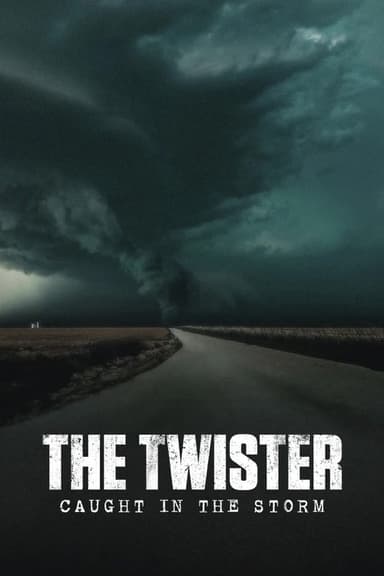 The Twister: Caught in the Storm poster