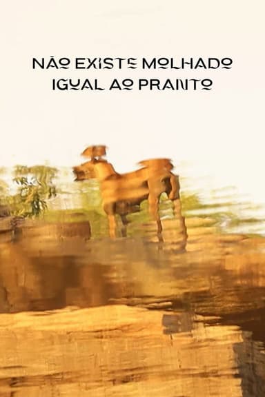 Não Existe Molhado Igual Ao Pranto poster