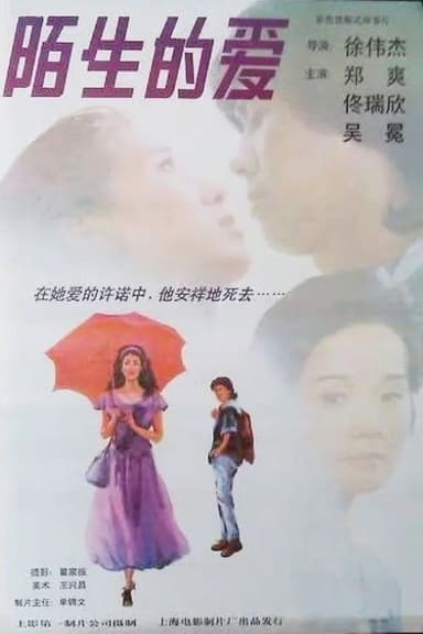 陌生的爱 poster