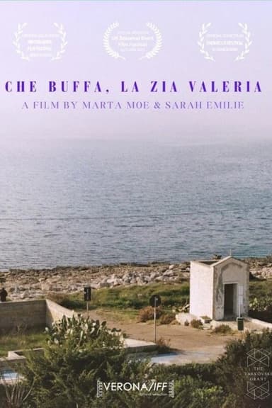 Aunt Valeria poster
