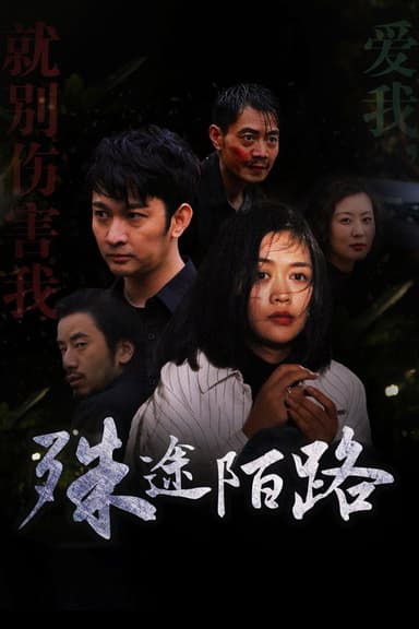 殊途陌路 poster