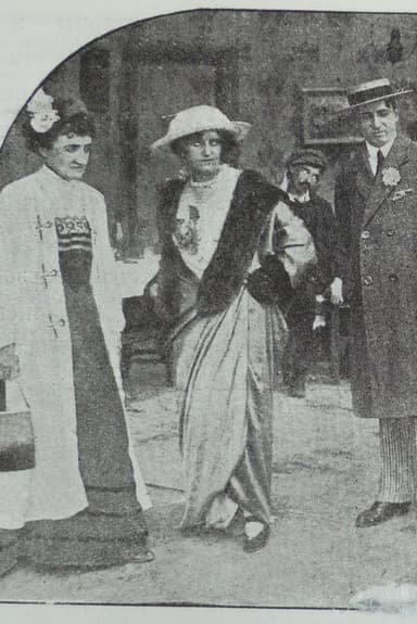 Mother-in-law in the Harem poster
