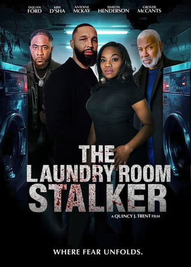 The Laundry Room Stalker poster