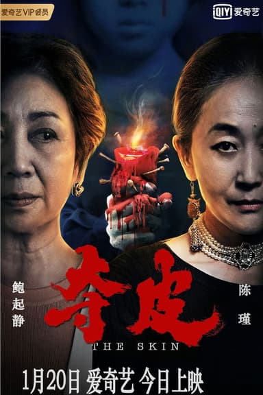 The Skin poster