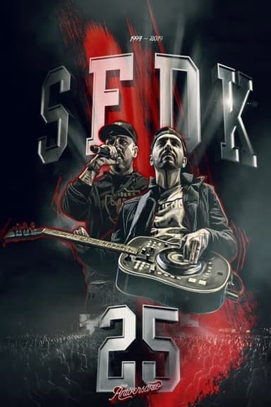 SFDK: Concierto 25 aniversario poster