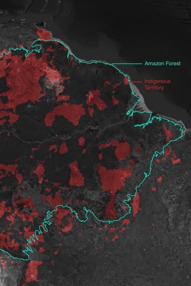 Gold Mining and Violence in the Amazon Rainforest poster