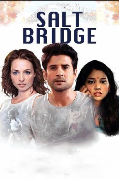 Salt Bridge poster