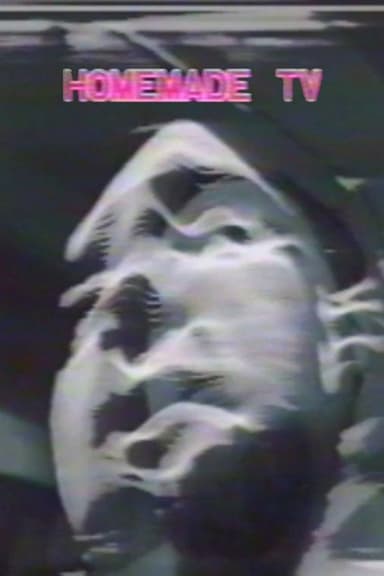 Homemade TV: Vasulkas II poster
