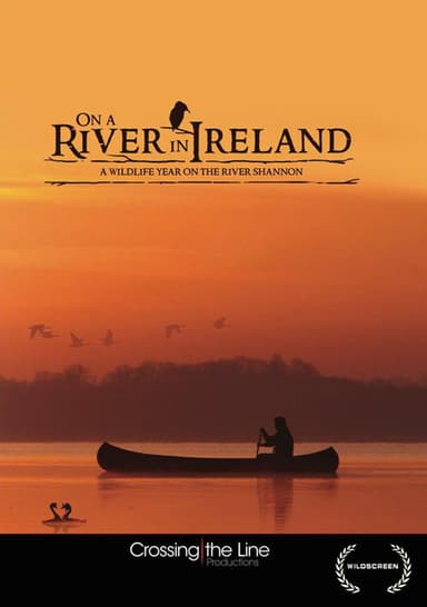 On a River in Ireland poster