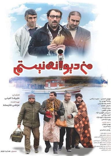 I'm not Crazy poster