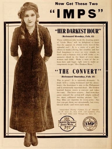The Convert poster