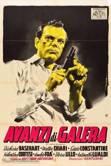 Jailbirds poster