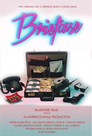 Briefcase poster