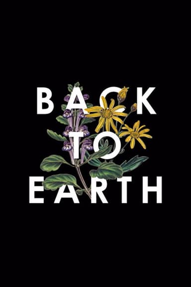 Back to Earth poster