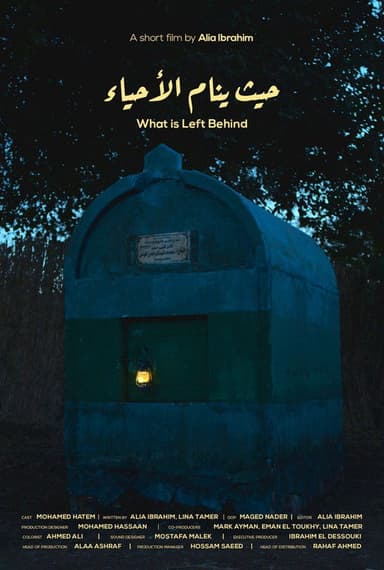 What is Left Behind poster