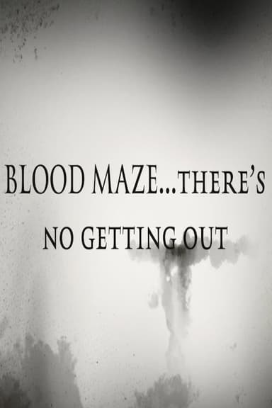 Blood Maze poster