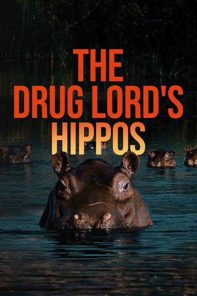 The Drug Lord's Hippos poster