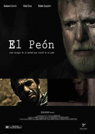 The Pawn poster