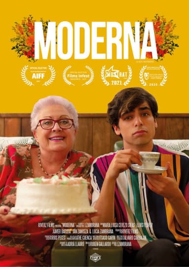 Lady Modern poster