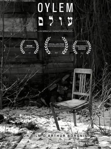 Oylem poster