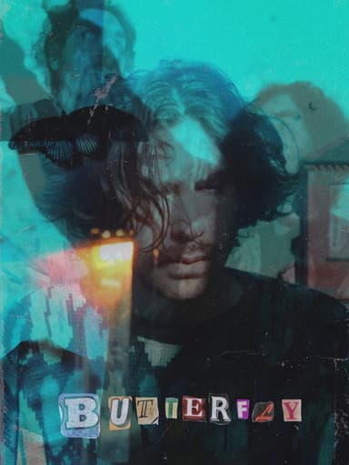 Butterfly poster