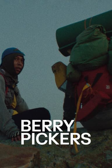 Berry Pickers poster