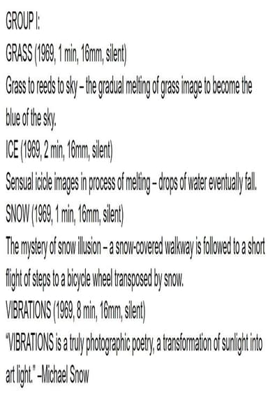Group I: Grass/Ice/Snow/Vibrations poster