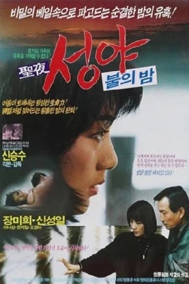 Holy Night poster