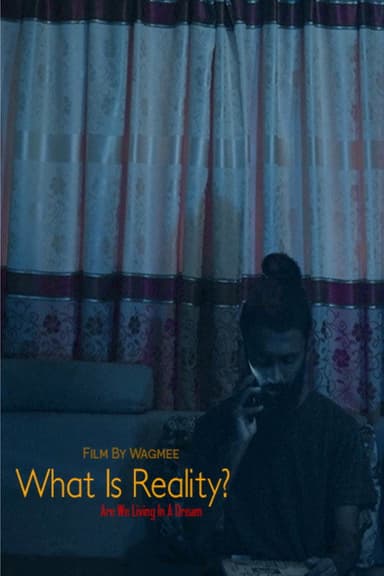 What Is Reality? poster