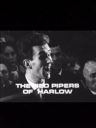 The Pied Pipers of Harlow poster