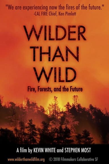 Wilder than Wild: Fire, Forests, and the Future poster