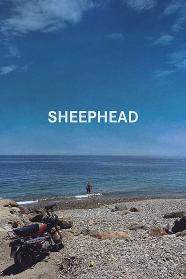 Sheephead poster