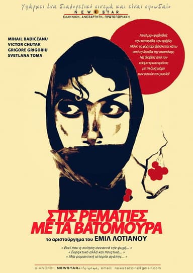The Red Meadows poster
