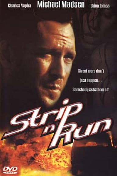 The Thief & the Stripper poster