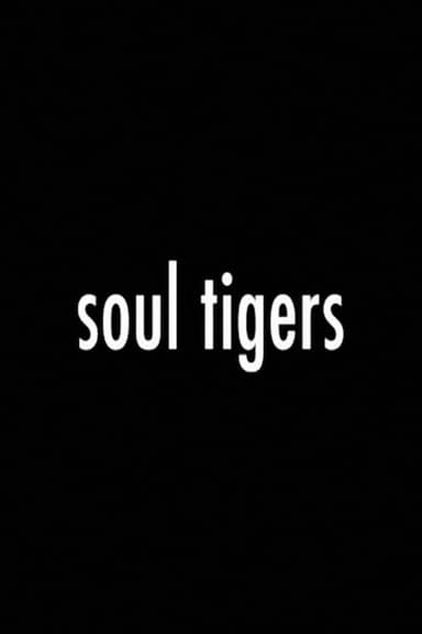 Glamour Reel Docs: Soul Tigers poster