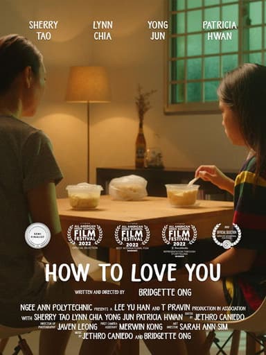 How to Love You poster