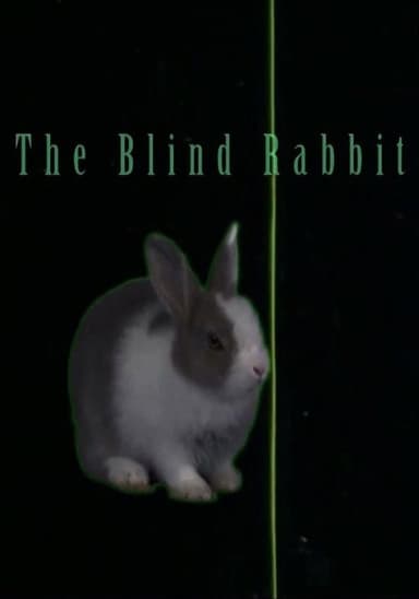 The Blind Rabbit poster