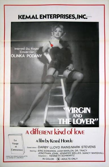 Virgin and the Lover poster