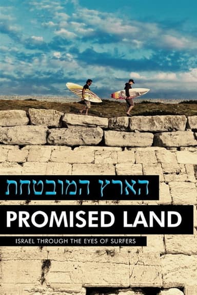 הארץ המובטחת poster