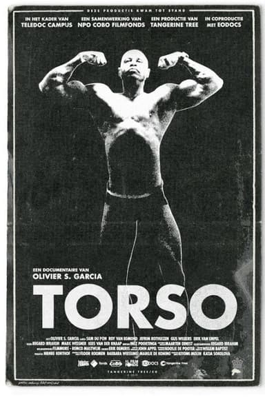 Torso poster