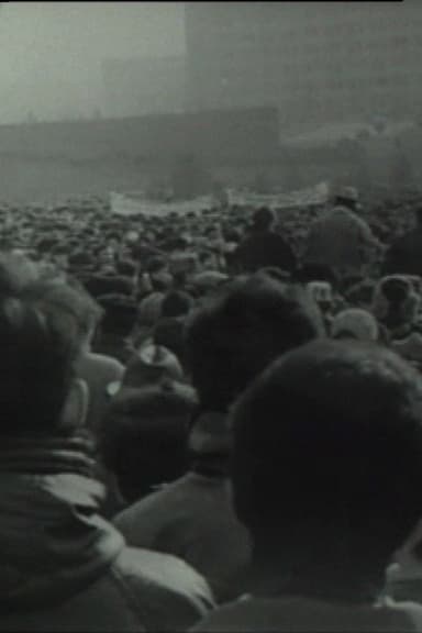 Chronicle of an Undeclared Demonstration poster